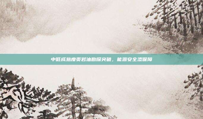 中低成熟度页岩油勘探突破,能源安全添保障