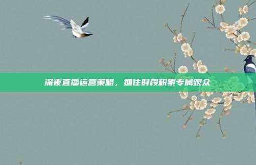深夜直播运营策略，抓住时段积累专属观众