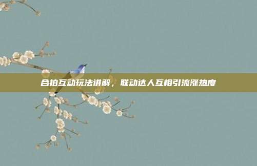 合拍互动玩法讲解，联动达人互相引流涨热度