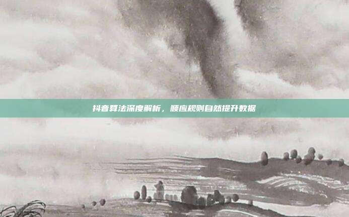 抖音算法深度解析，顺应规则自然提升数据