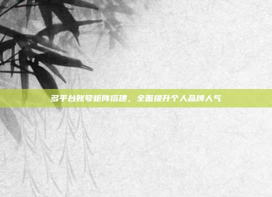 多平台账号矩阵搭建,全面提升个人品牌人气