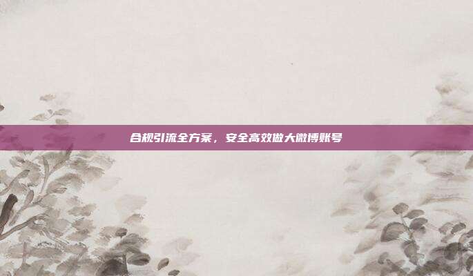 合规引流全方案,安全高效做大微博账号