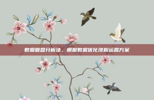 数据复盘分析法，根据数据优化涨粉运营方案