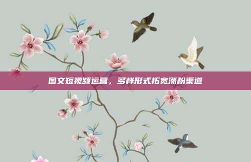 图文短视频运营，多样形式拓宽涨粉渠道