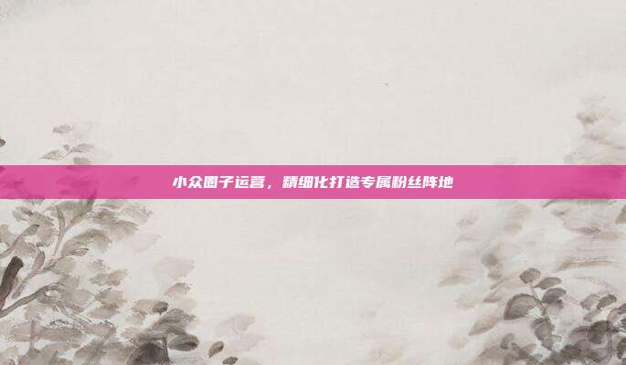 小众圈子运营，精细化打造专属粉丝阵地