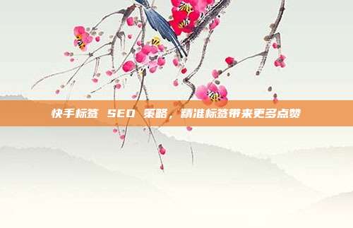 快手标签 SEO 策略，精准标签带来更多点赞
