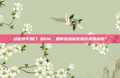 搭配快手热门 BGM，如何结合标签提升视频点赞？