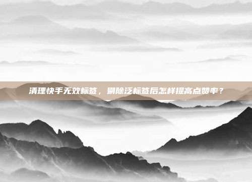 清理快手无效标签,剔除泛标签后怎样提高点赞率?