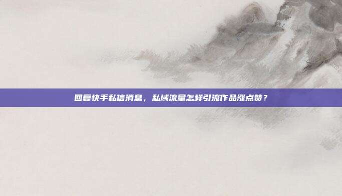 回复快手私信消息,私域流量怎样引流作品涨点赞?