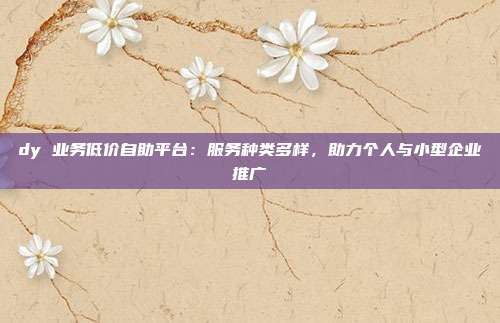 dy 业务低价自助平台：服务种类多样，助力个人与小型企业推广