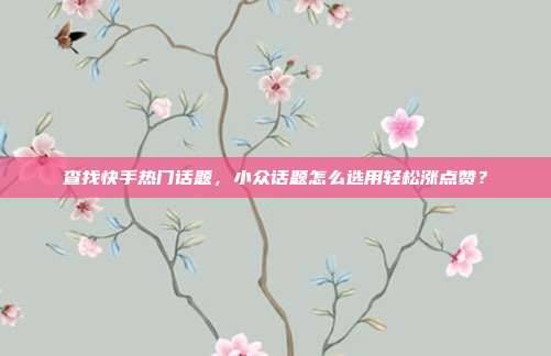 查找快手热门话题,小众话题怎么选用轻松涨点赞?