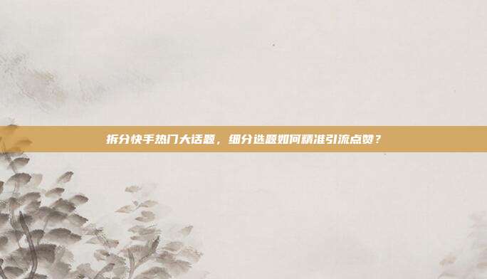 拆分快手热门大话题，细分选题如何精准引流点赞？