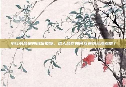 小红书合拍共创短视频,达人合作如何互通粉丝涨点赞?