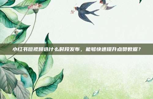 小红书短视频选什么时段发布，能够快速提升点赞数据？