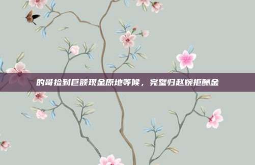 的哥捡到巨额现金原地等候，完璧归赵婉拒酬金