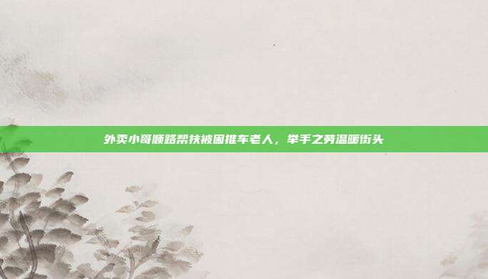 外卖小哥顺路帮扶被困推车老人，举手之劳温暖街头