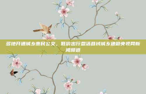 多地开通城乡惠民公交，低价出行盘活县域城乡通勤央视网新闻频道