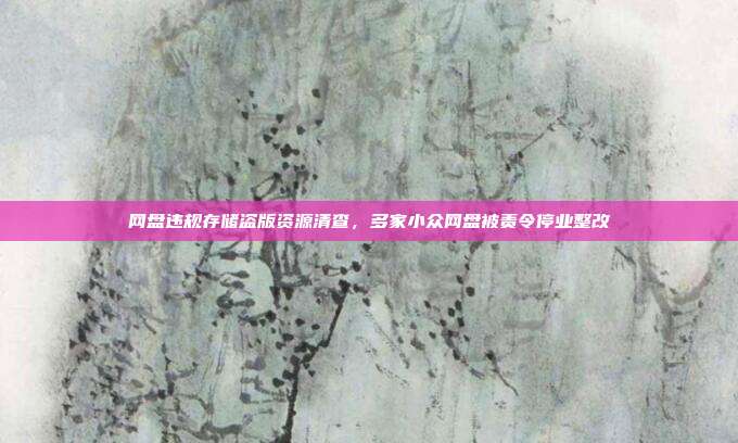 网盘违规存储盗版资源清查，多家小众网盘被责令停业整改