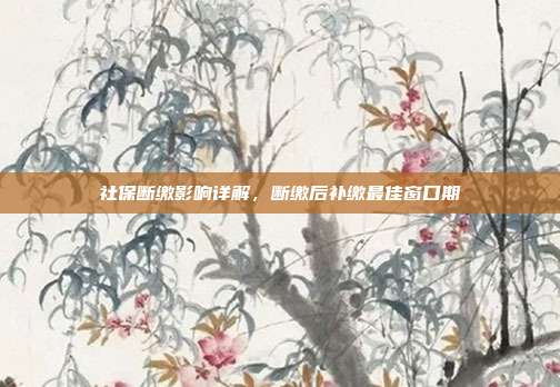 社保断缴影响详解，断缴后补缴最佳窗口期