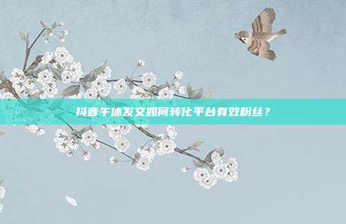 抖音午休发文如何转化平台有效粉丝？
