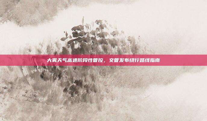 大雾天气高速阶段性管控，交管发布绕行路线指南