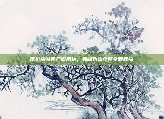 低价旅游团严查落地，强制购物线路全面取缔