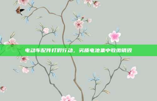 电动车配件打假行动，劣质电池集中收缴销毁