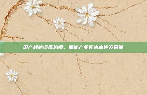 国产储能设备热销,储能产业迎来高速发展期