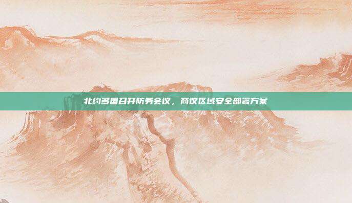北约多国召开防务会议，商议区域安全部署方案