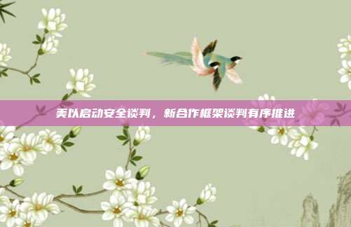 美以启动安全谈判，新合作框架谈判有序推进