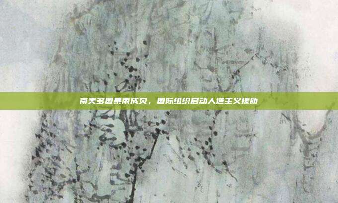 南美多国暴雨成灾,国际组织启动人道主义援助