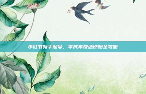 小红书新手起号,零成本快速涨粉全攻略