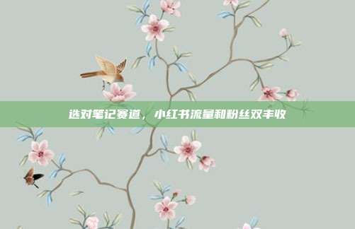 选对笔记赛道，小红书流量和粉丝双丰收