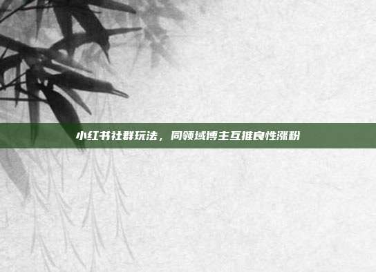 小红书社群玩法，同领域博主互推良性涨粉