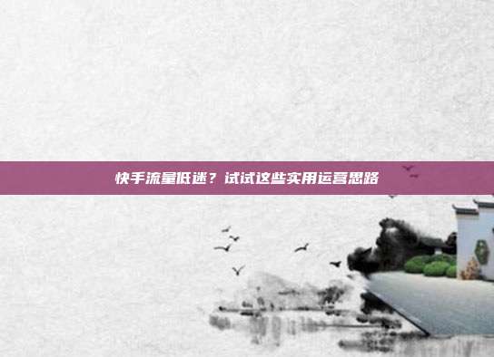 快手流量低迷？试试这些实用运营思路