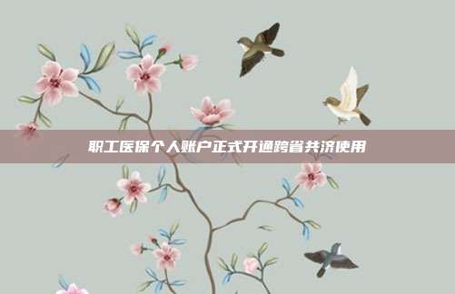 职工医保个人账户正式开通跨省共济使用