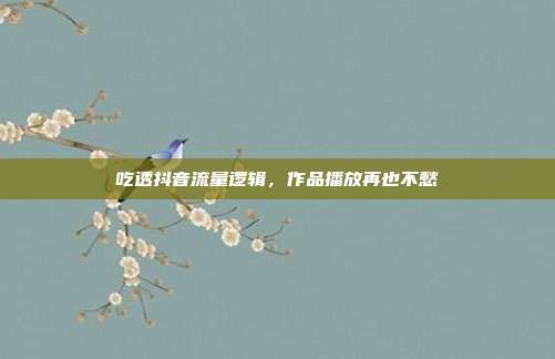 吃透抖音流量逻辑，作品播放再也不愁