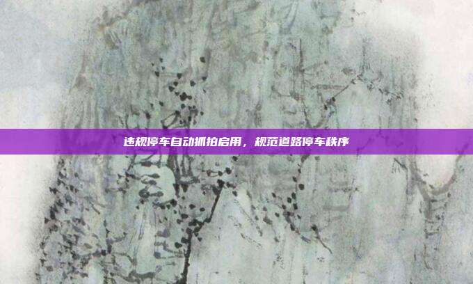 违规停车自动抓拍启用，规范道路停车秩序