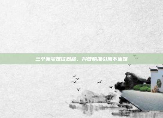 三个账号定位思路，抖音精准引流不迷路