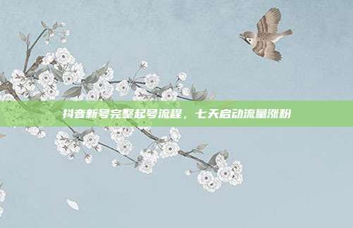 抖音新号完整起号流程,七天启动流量涨粉