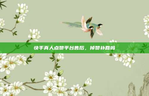 快手真人点赞平台售后，掉赞补回吗