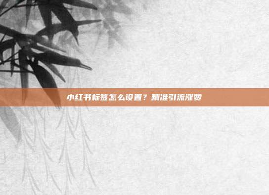 小红书标签怎么设置？精准引流涨赞