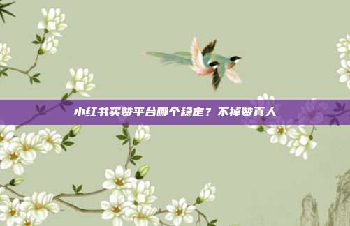 小红书买赞平台哪个稳定？不掉赞真人