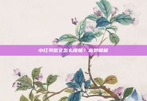 小红书图文怎么排版？高赞模板