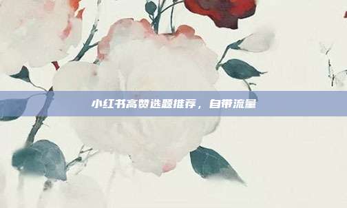 小红书高赞选题推荐，自带流量