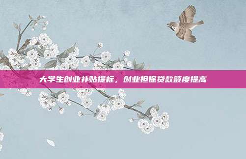 大学生创业补贴提标,创业担保贷款额度提高