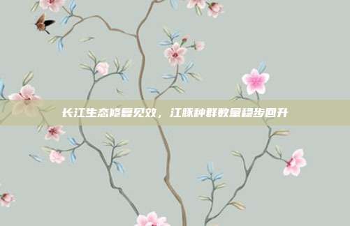 长江生态修复见效，江豚种群数量稳步回升