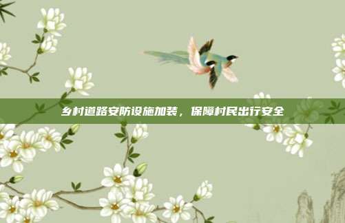 乡村道路安防设施加装，保障村民出行安全