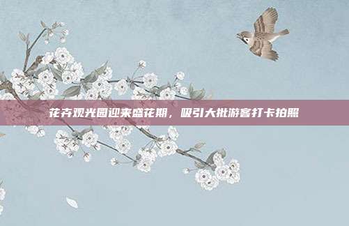 花卉观光园迎来盛花期，吸引大批游客打卡拍照