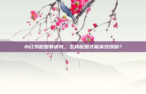 小红书配图有讲究，怎样配图才能高效涨粉？